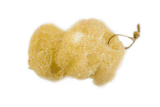 Natural Pumpkin Fiber